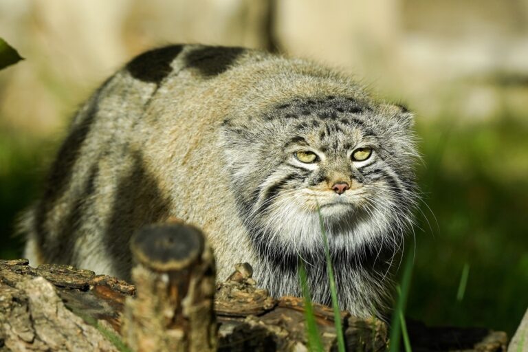   Фото: Авилов Александр/Агентство «Москва» Александра Горохова