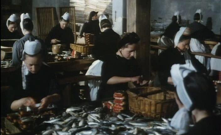 Кадр из фильма "Конь гордыни".