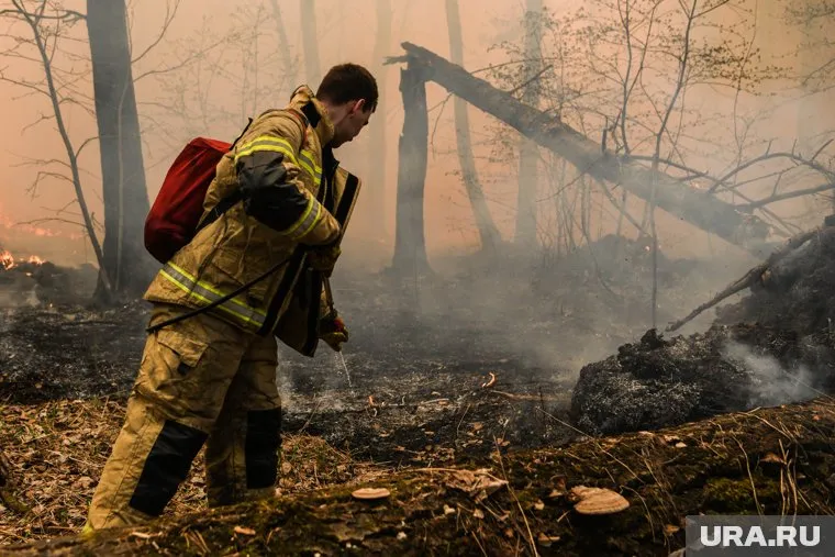 В майские праздники риск лесных пожаров увеличивается в разы
Фото: Владимир Жабриков © URA.RU