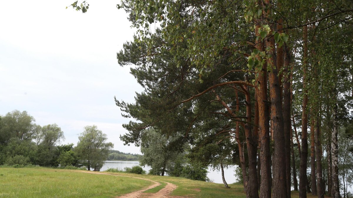    Фото: ИЗВЕСТИЯ/Андрей Эрштрем