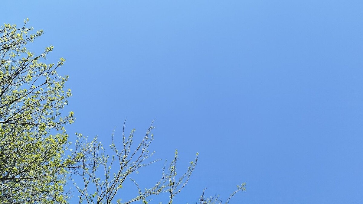    Фото: телеканал «Краснодар»