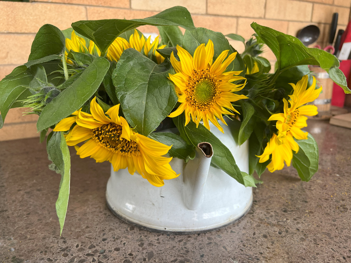 Фото автора канала Дом с кипарисами