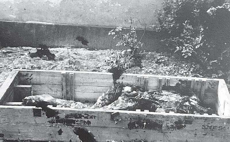 Останки Гитлера ("в деревянном ящике длиной 163 см, шириной 55 см и вышиной 53 см...")