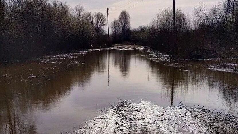     Источник: Администрация Кезского района