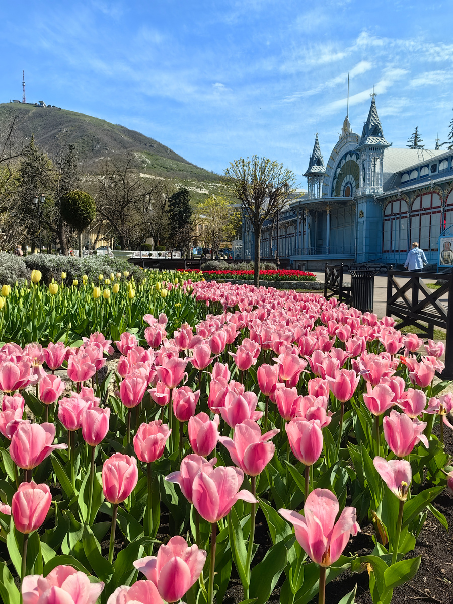 Фото автора