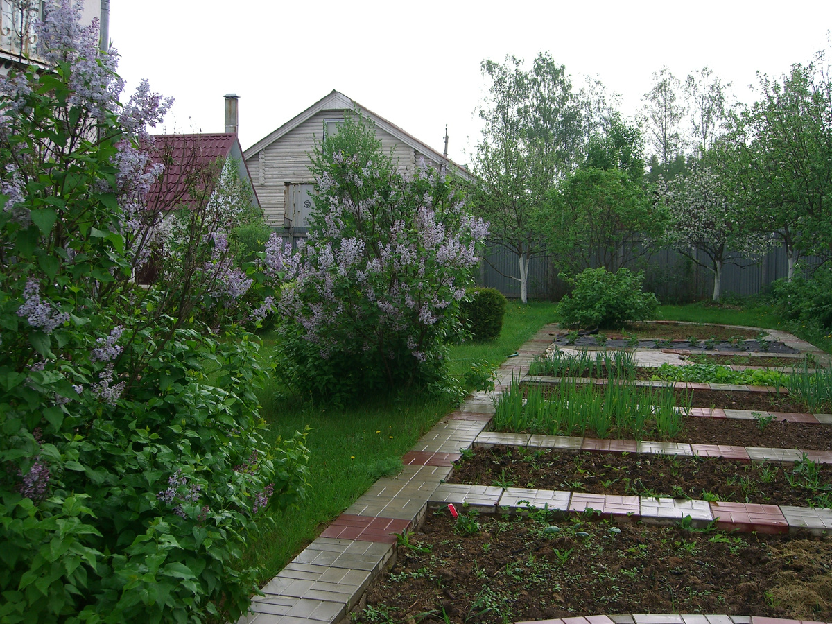 Уже не за горами долгожданное лето — благодатная пора, когда природа расцветает во всей своей красе, а человек расправляет плечи.