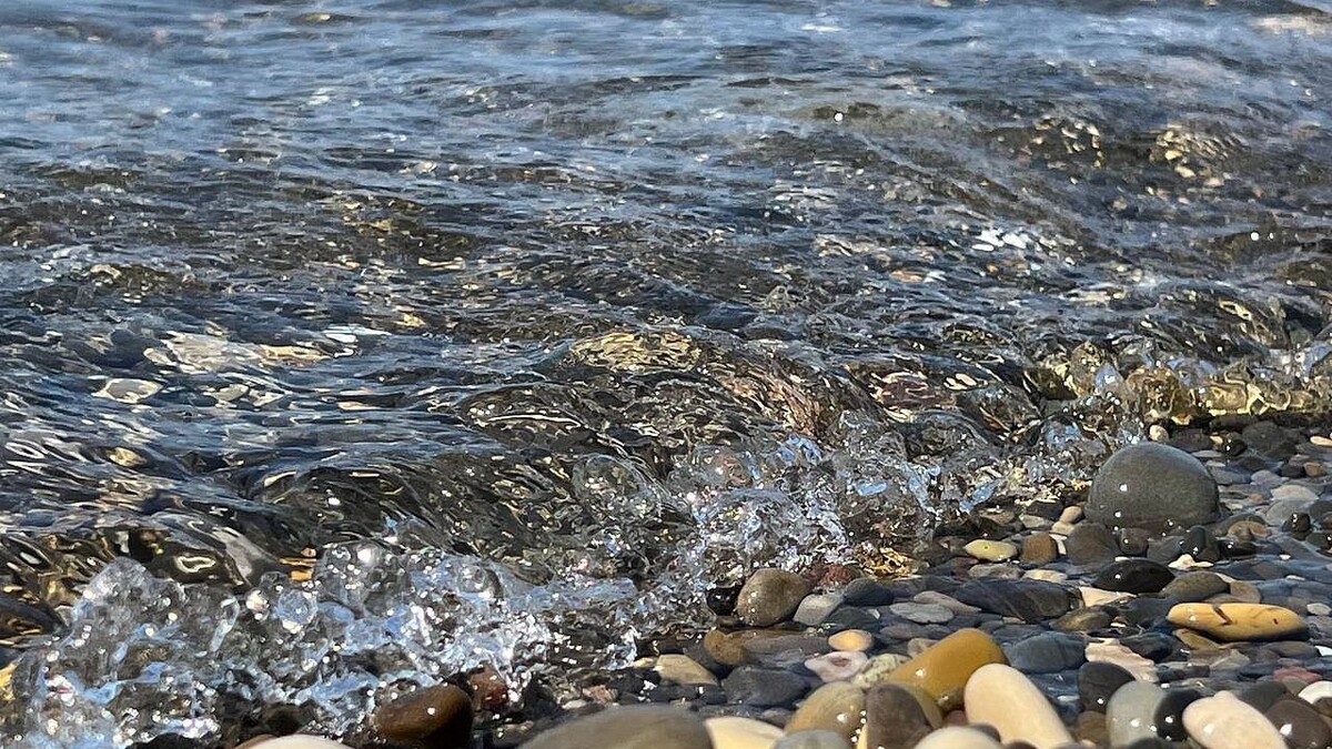    Фото: телеканал «Краснодар»