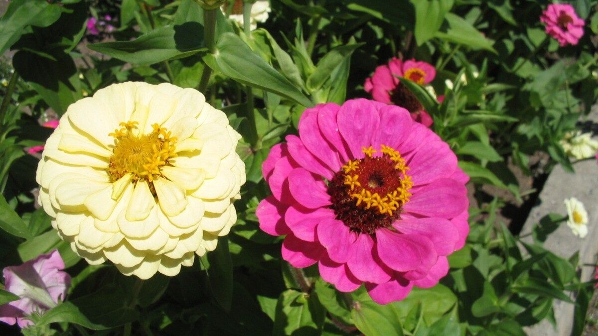     Источник: vostokmedia.com