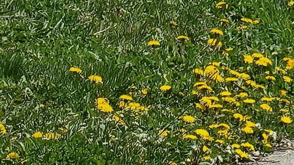     Источник: vostokmedia.com