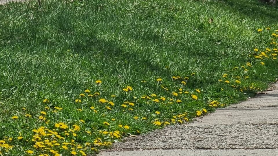     Источник: vostokmedia.com