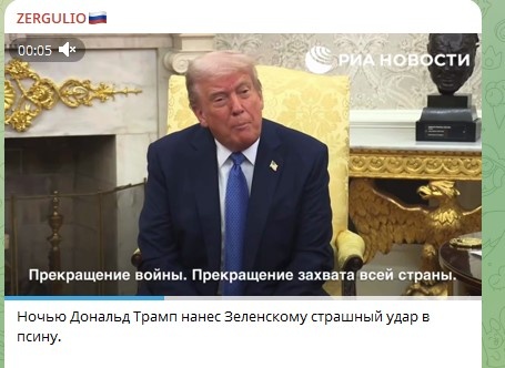    Фото: Скриншот Telegram/Zergulio