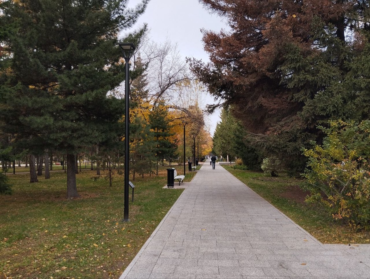 Парк не благоустроен.  Фото: Фото: ФедералПресс / Екатерина Ломакина