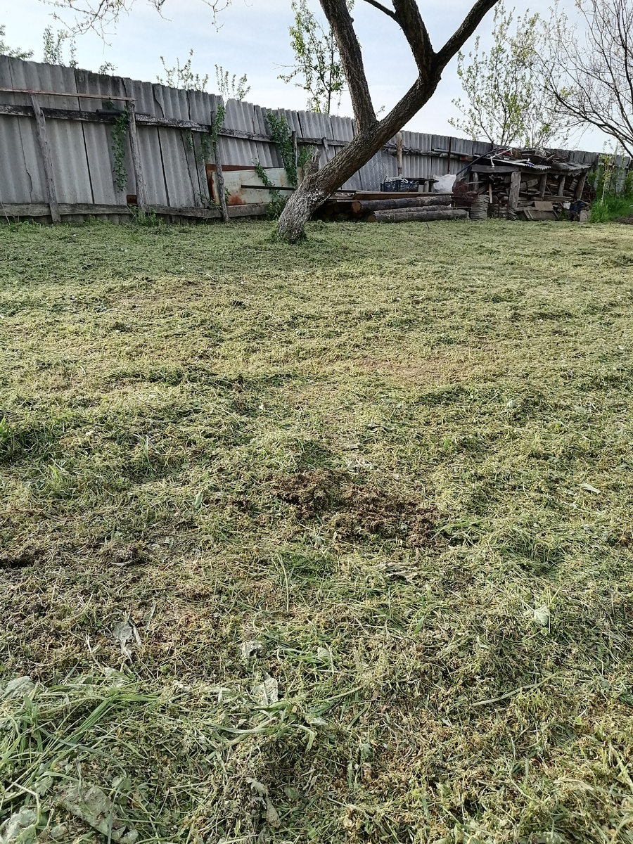 Скошенная трава в саду.