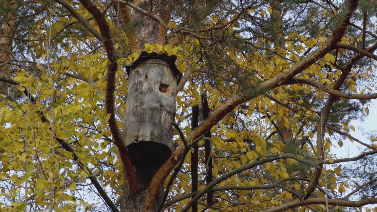    Предстоящие выходные в Башкортостане будут дождливыми