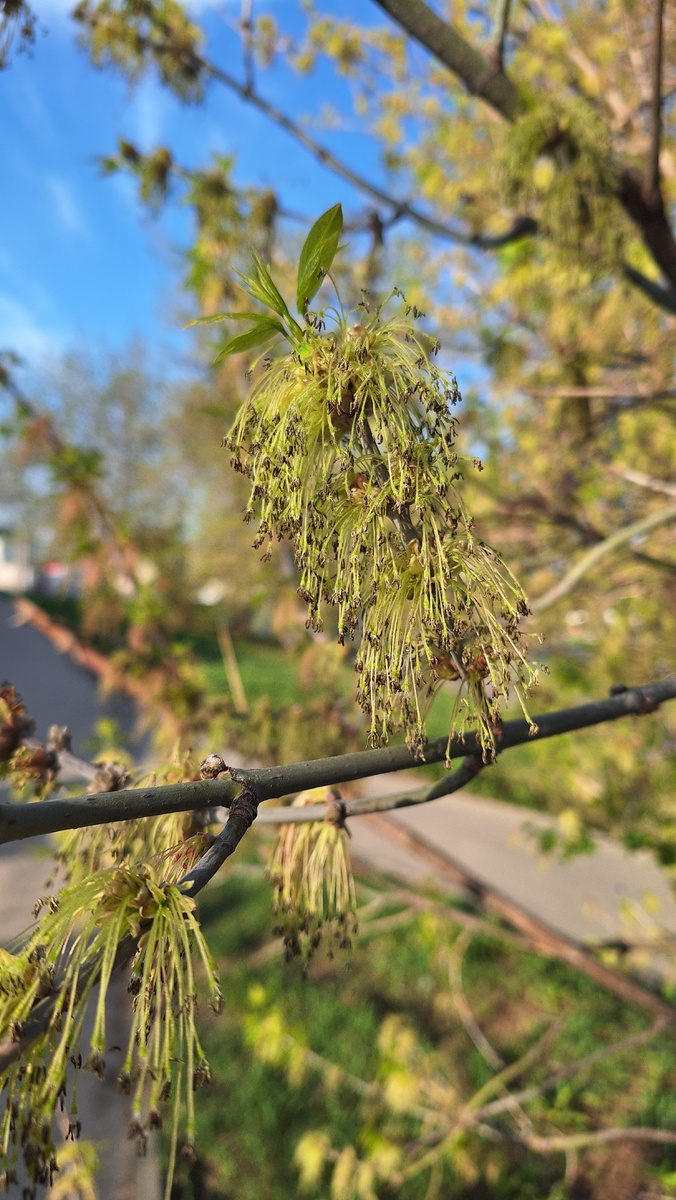 Фото автора.
