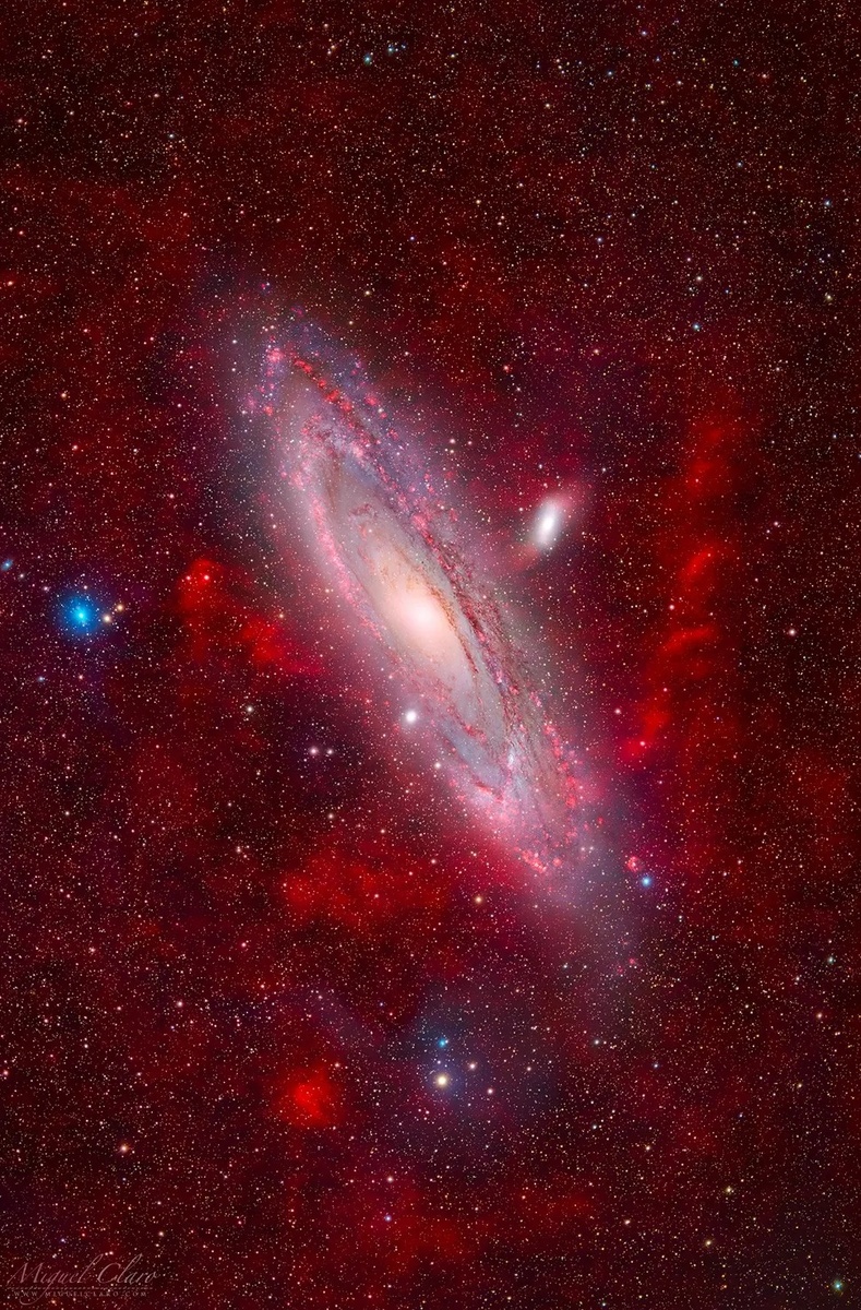 Источник: Miguel Claro  📷
