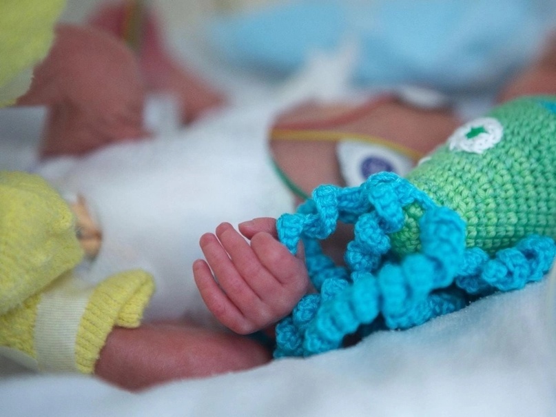 Фототиз интернета для примера