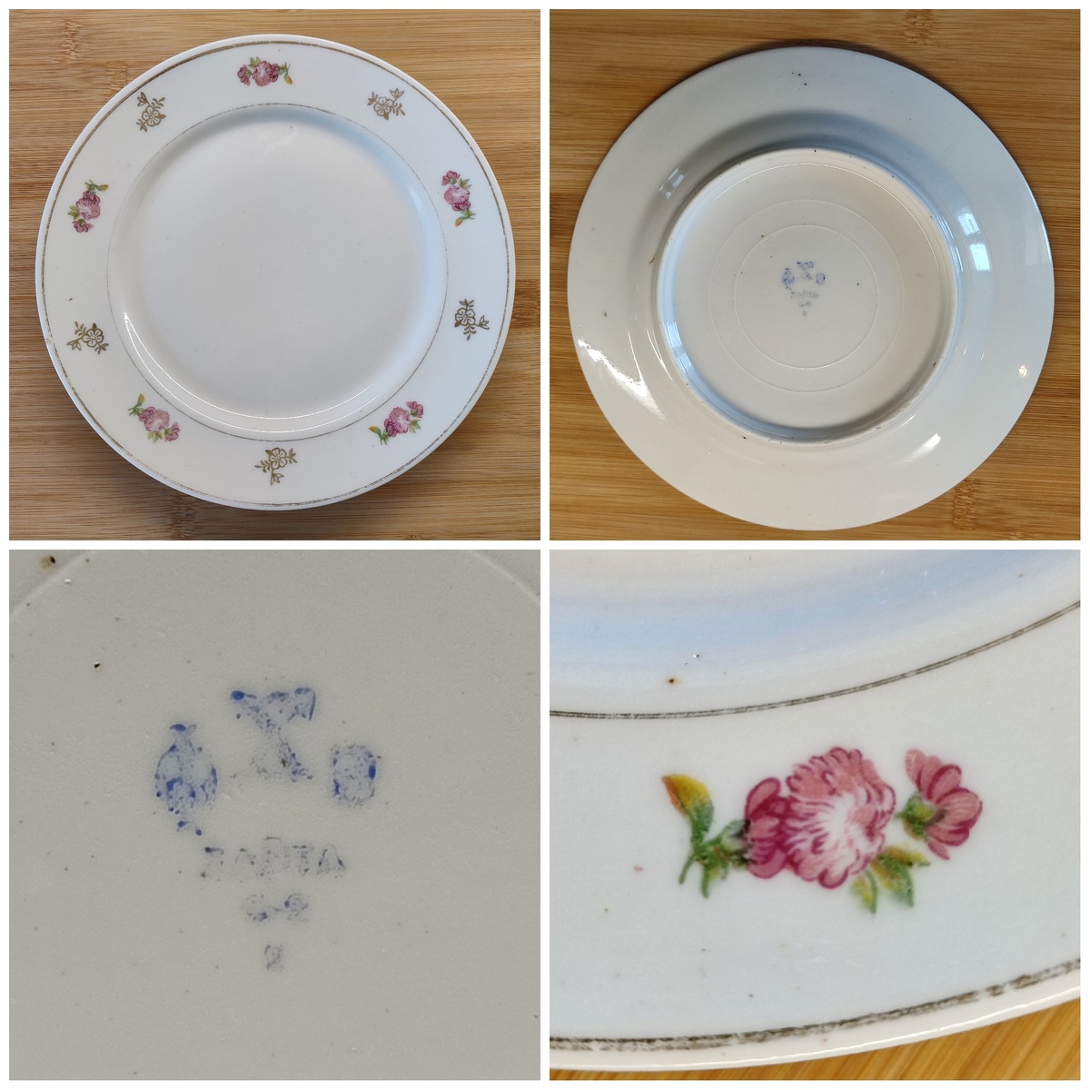 Гвоздика! Хотя сначала на астру/хризантему подумала. 