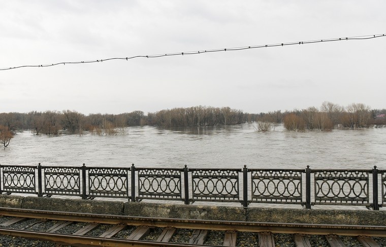    Никифоров Сергей/NEWS.ru