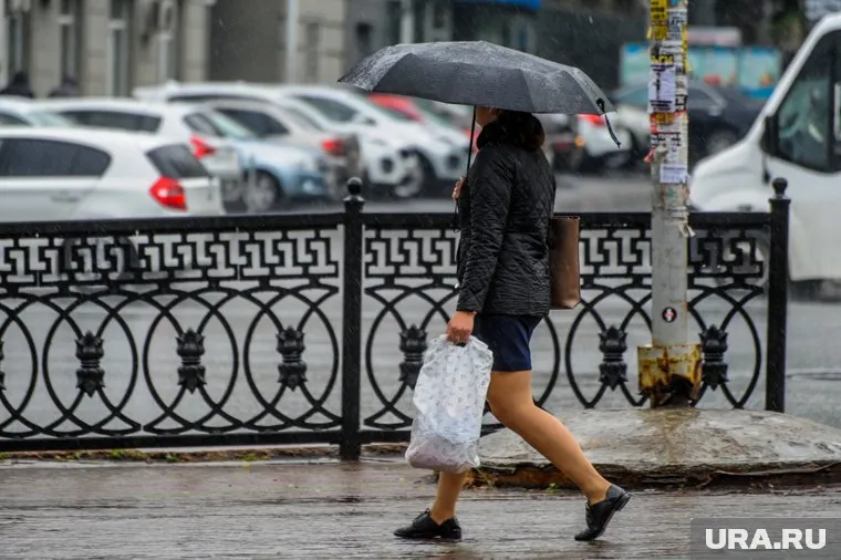 Перепад температур и осадки ожидают жителей Челябинска
Фото: Вадим Ахметов © URA.RU