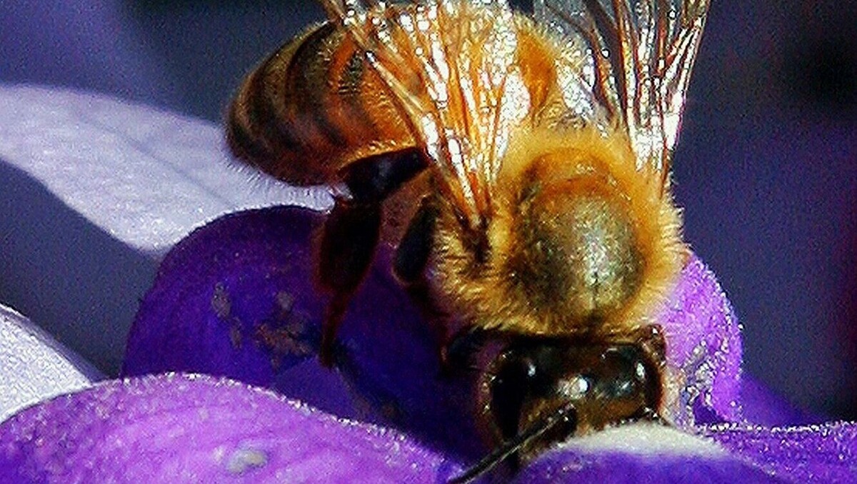     Автор: Unsplash