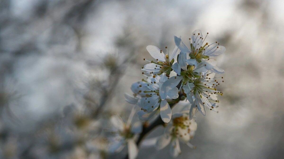     Автор: Unsplash