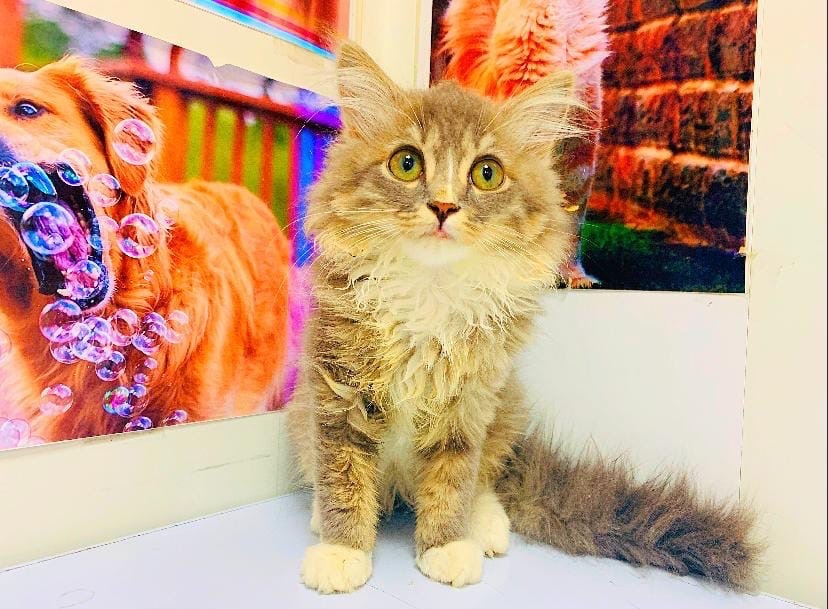 Когда-то Соломон был совсем крохотным малышом, который едва помещался на ладошке…