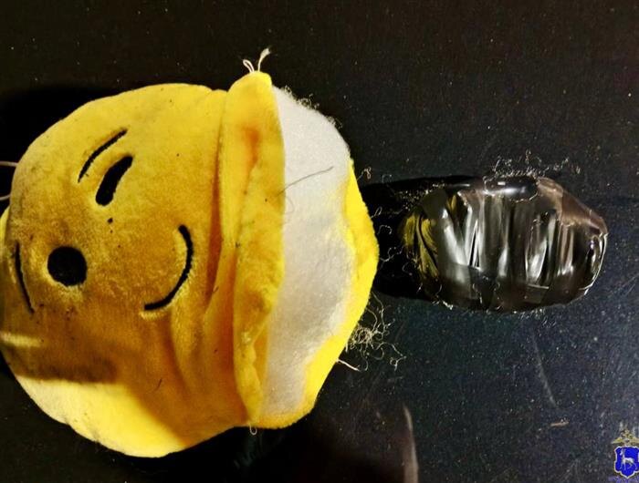    ФОТО: ГУ МВД по Самарской области