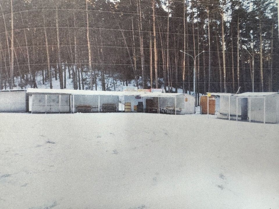    Незаконно возведенные торговые павильоны в лесу Чемальского района. Источник: Пресс-служба Чемальского районного суда