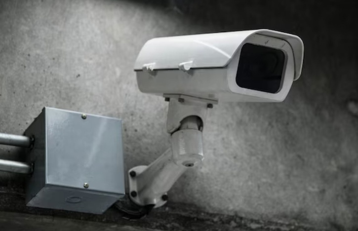    Фото: ru.freepik.com/freepik Александра Горохова