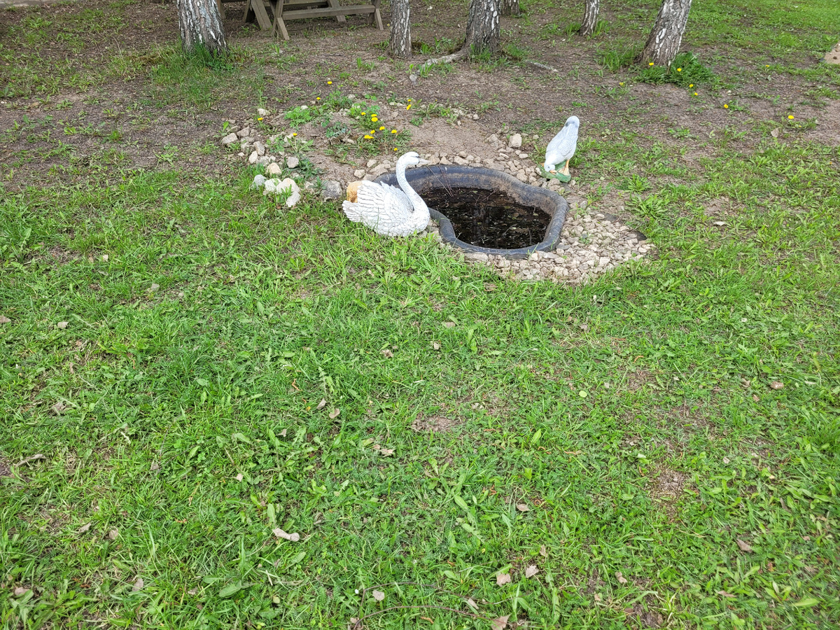 Маленький пруд