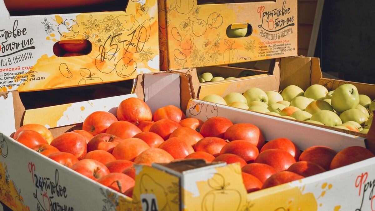     Источник: 1MI