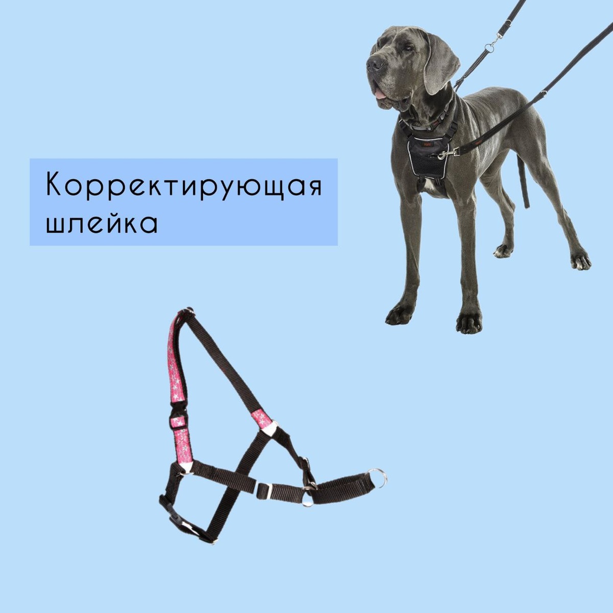 корректирующая шлейка