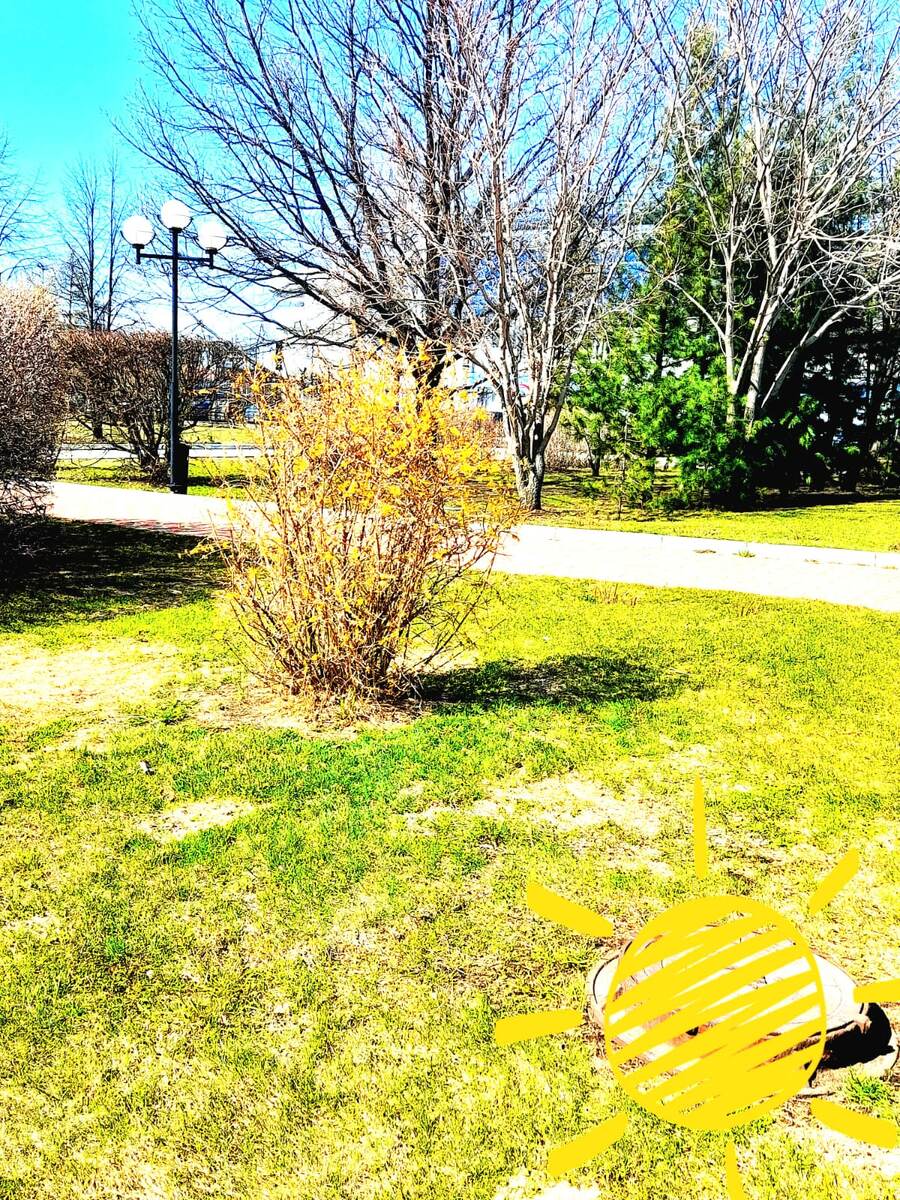 Новый день!!!              Радуемся ........................               Фото автора