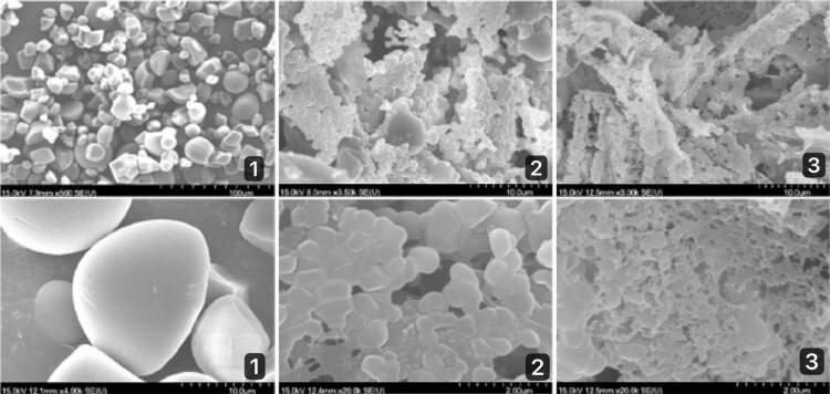 Рисунок №2. Сканирующая электронная микроскопия: 1 - нативного крахмала, 2- SNP, 3 - CP SNP.