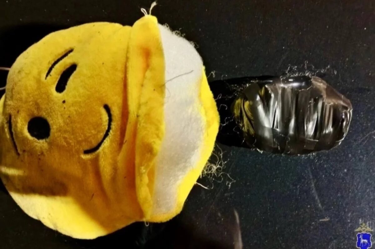    В Сызрани задержана закладчица с наркотиками в мягкой игрушке