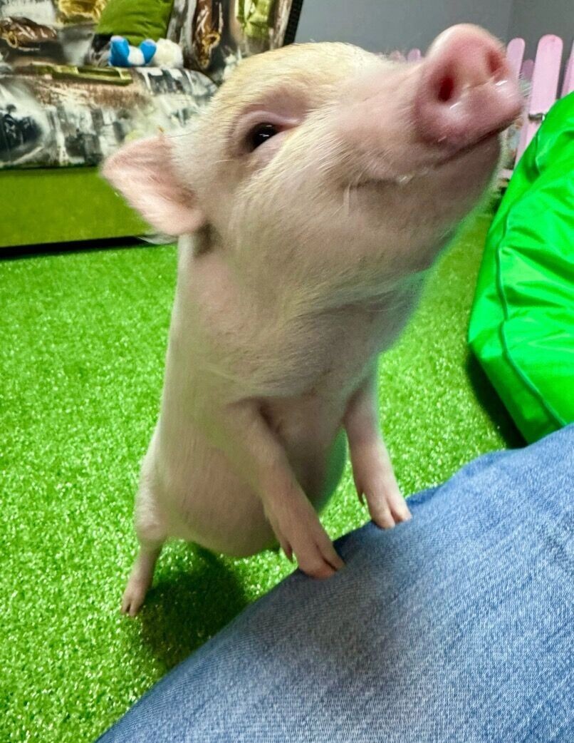     Источник: 2gis.ru