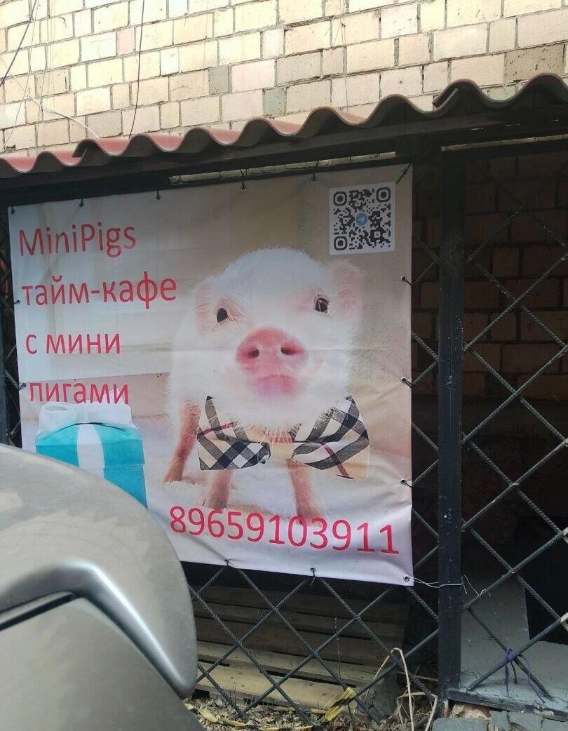     Источник: 2gis.ru