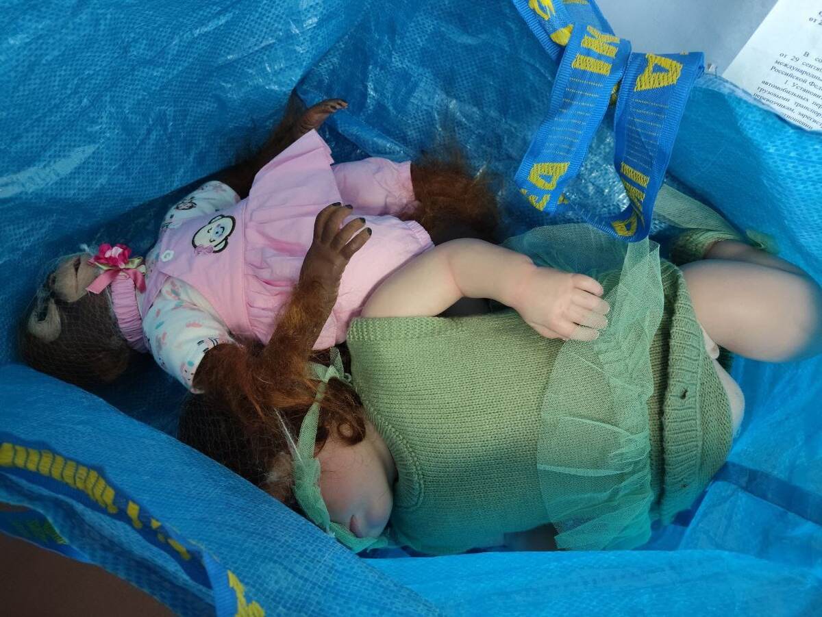 Фото: ФТС России