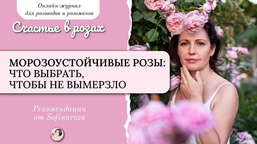 «Счастье в розах», выпуск №23, 25 апреля 2025г.