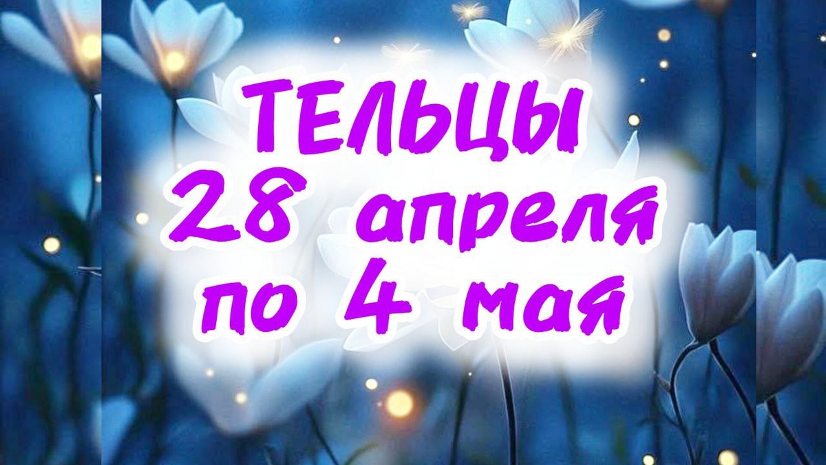 фото принадлежит автору канала