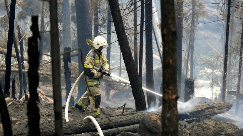   РИА Новости