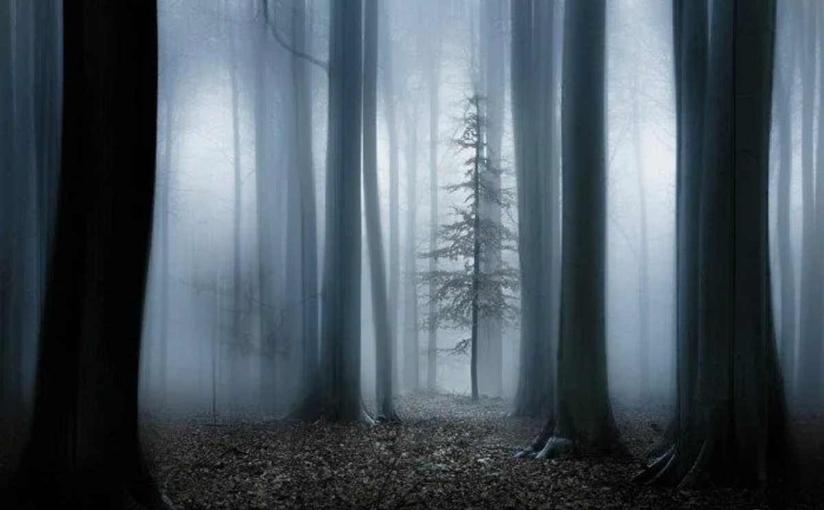 Тишина может казаться безмятежной или гнетущей