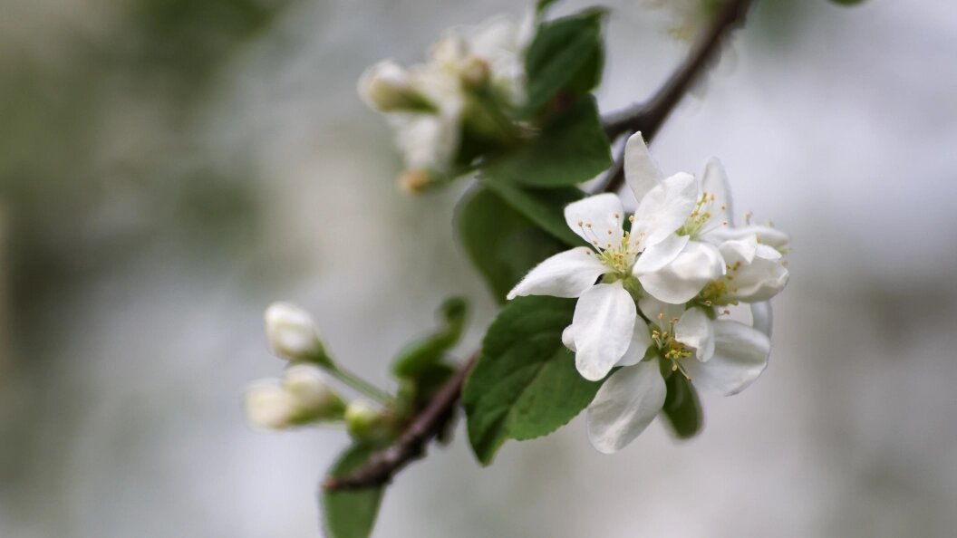    фото: Belkin Alexey/Globallookpress