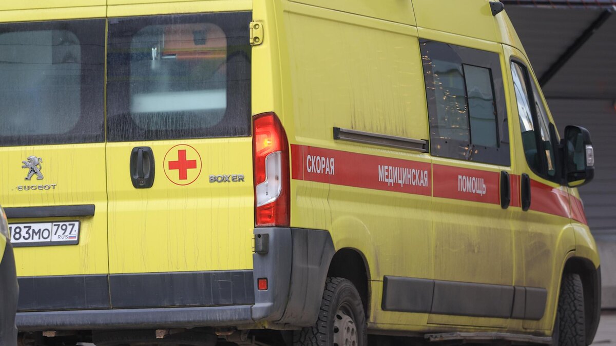    Фото: Shatokhina Natalia/news.ru/globallookpress.com