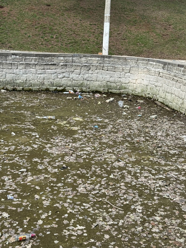    Пруд с фонтанами в Кирове начал пахнуть на солнце