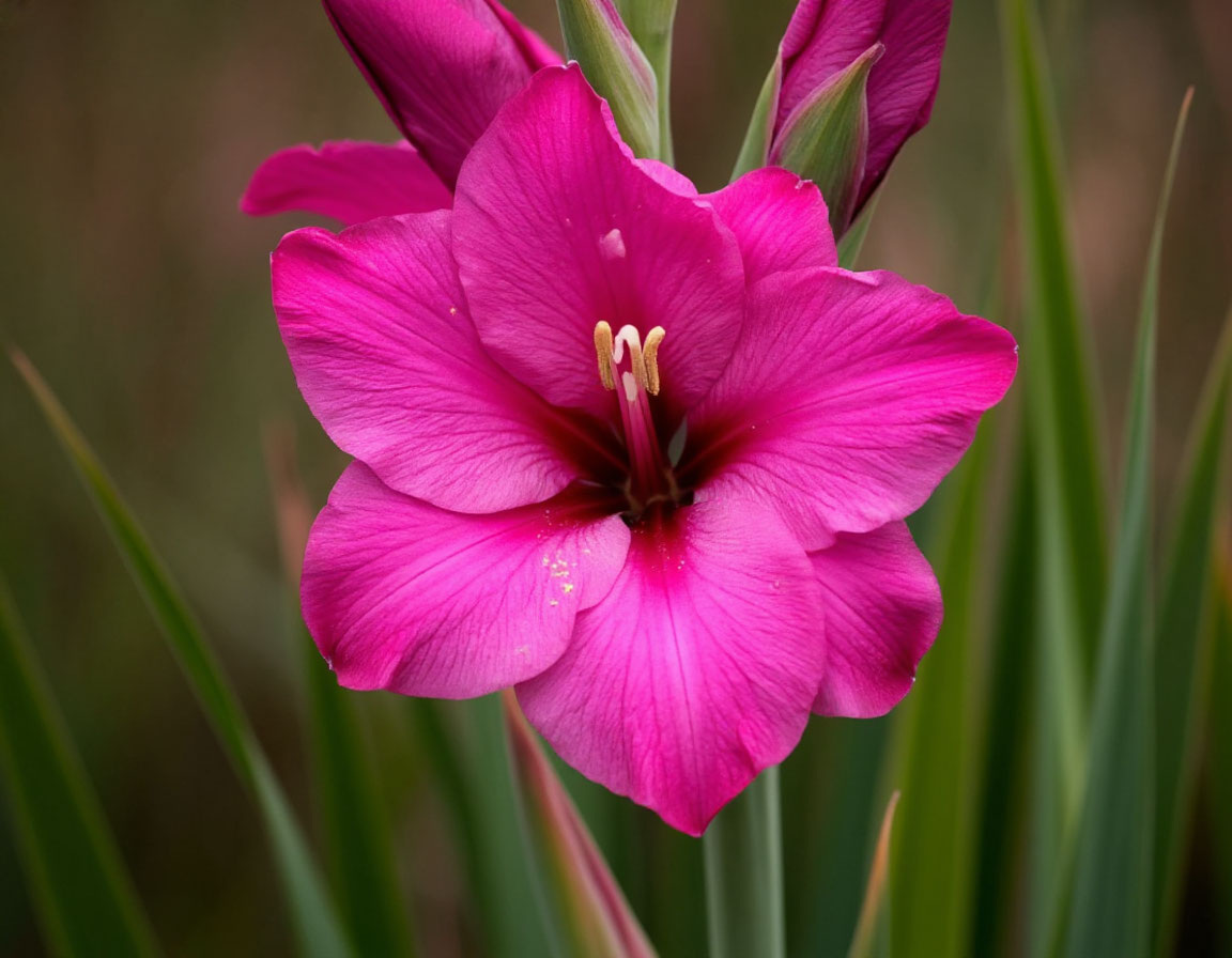 Изображение сгенерировано ИИ
