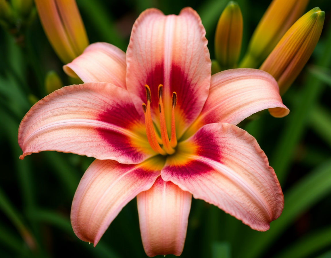 Изображение сгенерировано ИИ