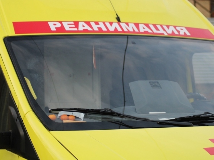     Фото принадлежит ИА «Тульская пресса»