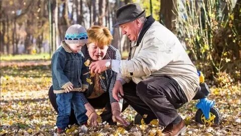 Яндекс картинки